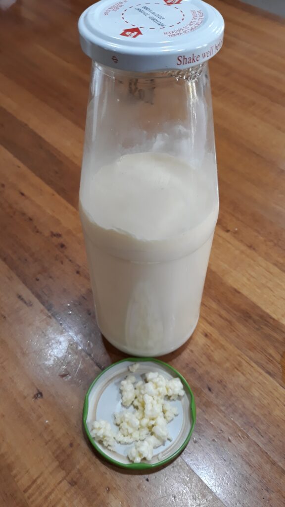 Home made milk kefir and kefir grains